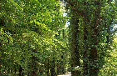 Apartament M&M "Wioska Żeglarska" - Foto 43