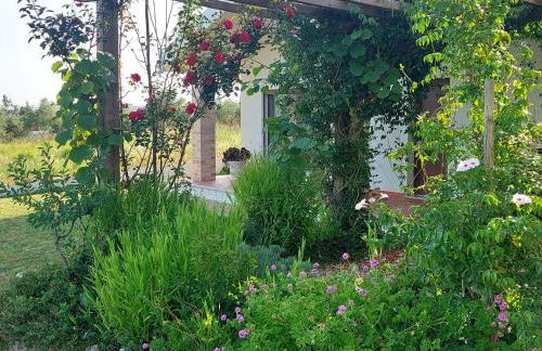 Casa Limonina - Foto 63