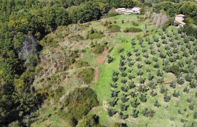 Agriturismo Li Guira - Foto 74