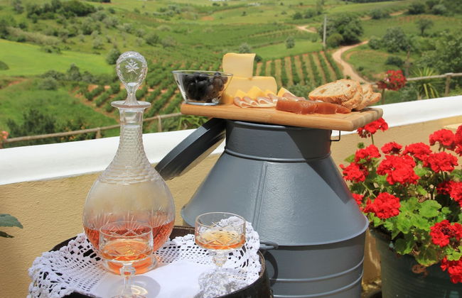 Terra Luso - Foto 40