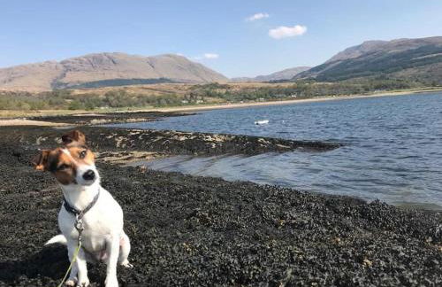 Squirrels Wood Lodge, nr Glencoe, dog friendly - Foto 51