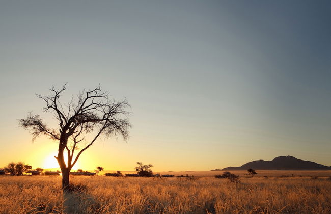 Desert Camp - Foto 35