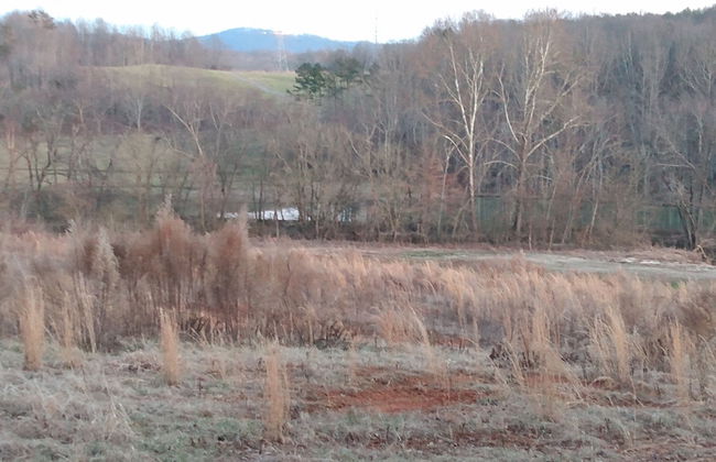 Cook Road Farmhouse - Foto 9