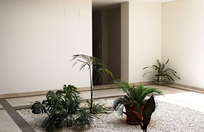 El Sueño de San Fernando - Foto 58