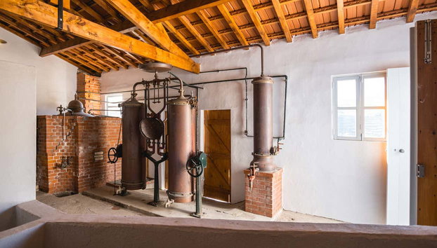 Cata de vinos en Quinta São Luiz - Foto 3, Instalaciones de la Quinta São Luíz