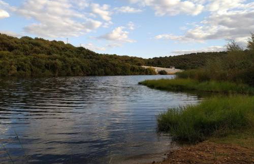 La sombra del lagarto - Foto 18