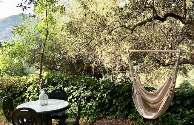 Agriturismo Don Cesarino - Photo 43