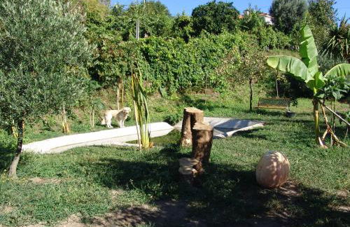 Quinta de Santa Marinha - Foto 20