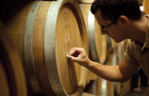 Villa Visnjan Residence 2 - Foto 20