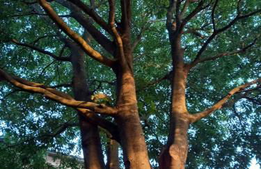 Settecentoalberi Agriturismo - Foto 38