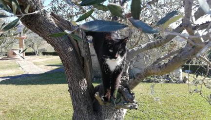 Agriturismo Casa al Povero - Foto 3