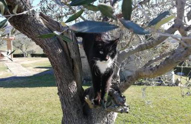 Agriturismo Casa al Povero - Foto 3