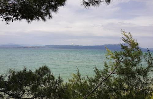 Beachfront House Villa 35min from Athens - Foto 42