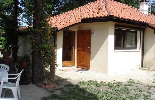 L'ecureuil - Foto 11