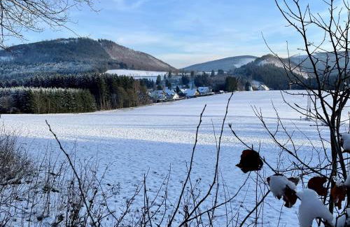 Auf der Platte - Foto 10