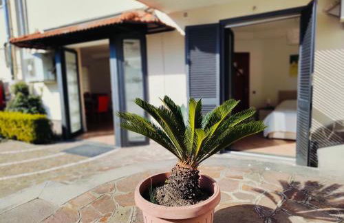 Maison Margot - Giardino e parcheggio privato - Foto 39