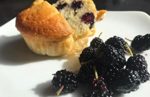 Tenuta Le Mandorlaie, Agriturismo in Scansano - Foto 41