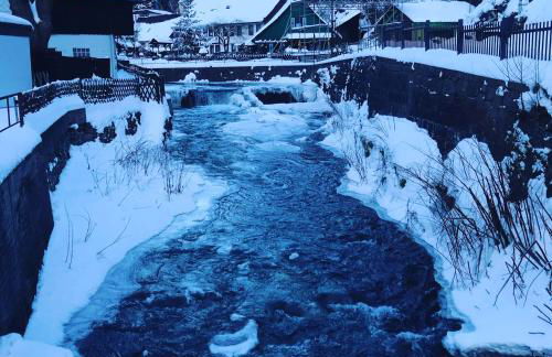 "Altes Haus" am Kurpark in den Bergen - Foto 36
