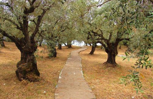 Christie's ground floor apartment by the sea - Foto 18