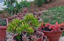 lastva 1&2 - Photo 53