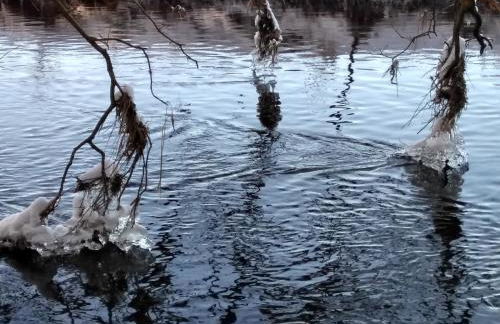 Villa Duck-Dich-Südheide - Photo 35