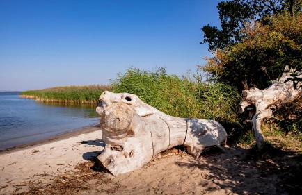 Lerchenhof in Reestow - Foto 54