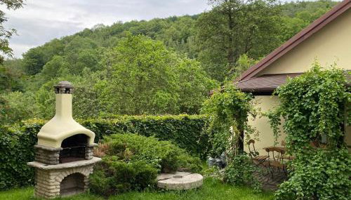 Mały Domek w Górach Sowich - Foto 2, Garden