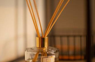 CHARMANT STUDIO☆NETFLIX☆CANAL+☆CANAL SAT☆PARKING☆ - Foto 36