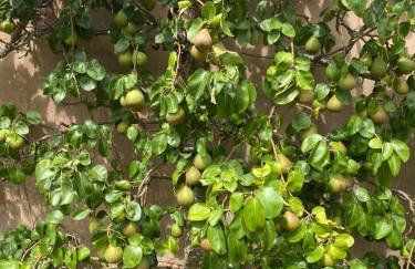 The Barn @ Bishops Lydeard - Foto 14