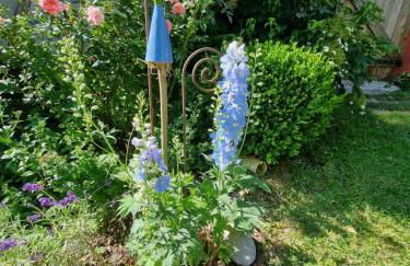 Ankommen, Wohlfühlen und die Natur genießen - Foto 20