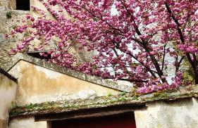 Romantic Room - Studio Jardin - Proche Disneyland Paris - Foto 23