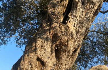 Residenza Nosy Be - Foto 75