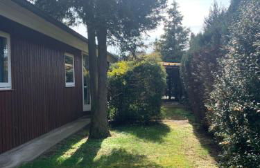 Gepflegtes-Ferienhaus-am-Dankernsee-Haren-Emsland - Photo 22