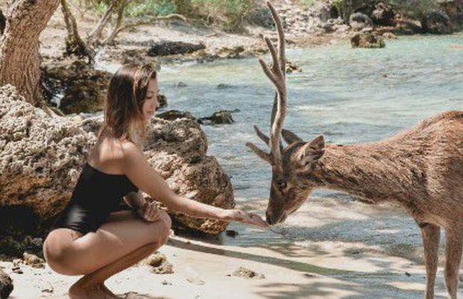 Maha Nusa Menjangan - Foto 36