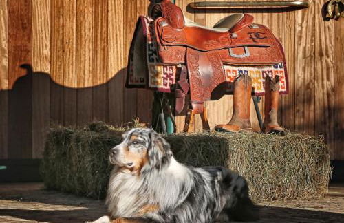 Pietra Cavalla - Ranch & Resort - Foto 37