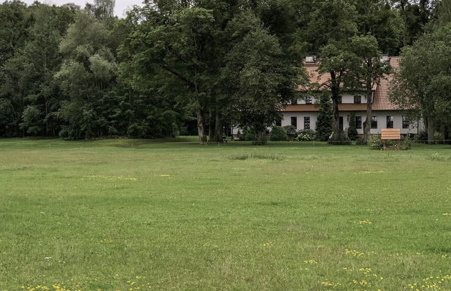 Dwór Szwałk - Foto 54