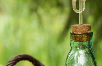 Zezuj Agroturystyka i Łowisko - Photo 63