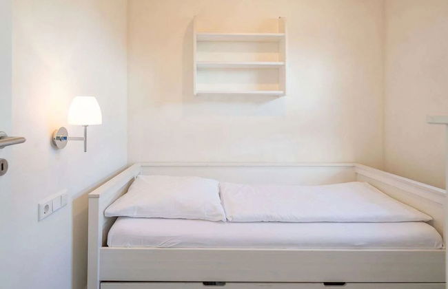 Basstölpel - Foto 11