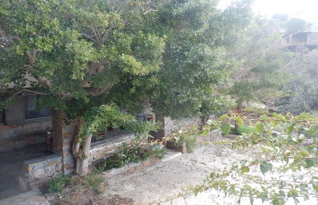 Elea Koundouros - Photo 30