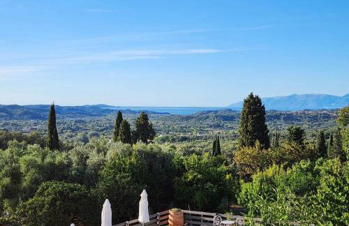 Kosta's House - Photo 40