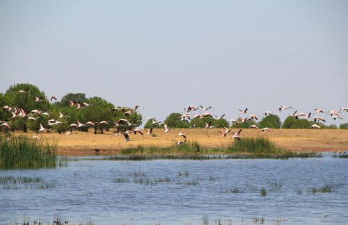 Sesmarias Turismo Rural & SPA - Foto 43