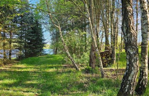 Beautiful Home In Podwilczyn With Sauna - Foto 29