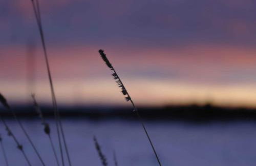 Hill-view Holiday Home in Dankerode near Lake and Hiking - Foto 12