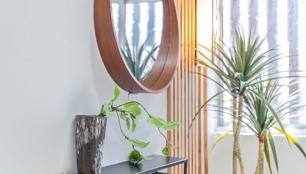 miyu hanka - Foto 2, Habitación