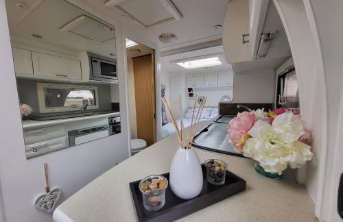 Glamping With Llamas - Foto 60