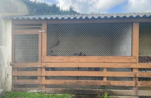 La Brise Marine, calme, Océan, 350m plage - Foto 21