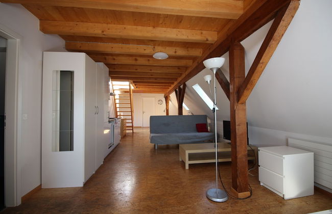 Apartments Swiss Star Sihlfeld - Foto 12