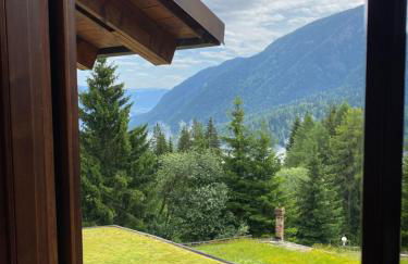 IL NIDO - Residence Sun Valley - Photo 22