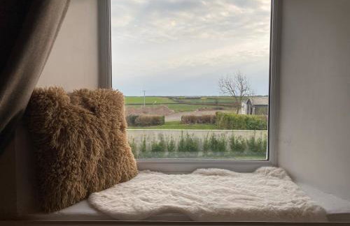 Homely Pembrokeshire Farmhouse - Foto 23