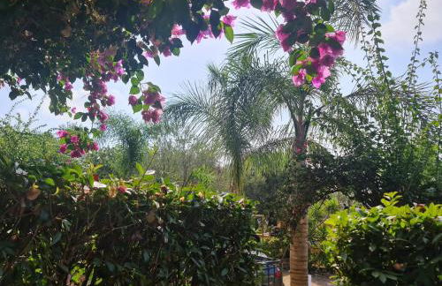 DONNA FILOMENA Residence - Foto 74